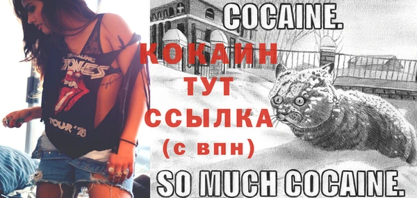прущие крисы Абаза