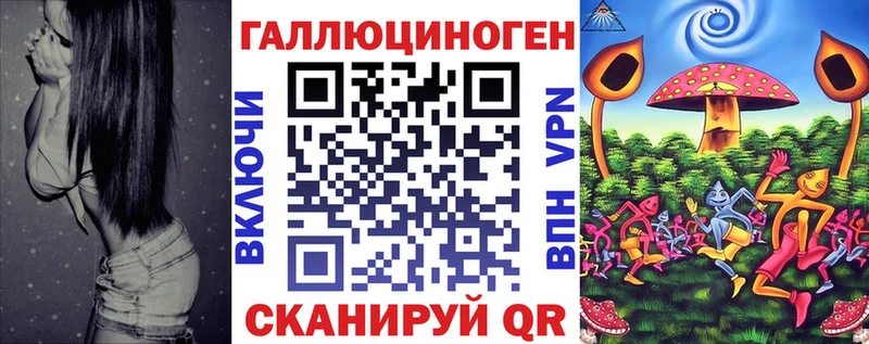 Псилоцибиновые грибы Psilocybe  Нальчик 